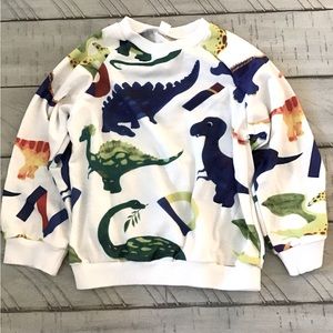 Boy dinosaur  sweatshirt set
